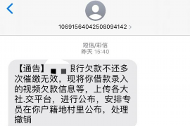 泉港遇到恶意拖欠？专业追讨公司帮您解决烦恼